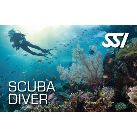 Brevetto Scuba Diver