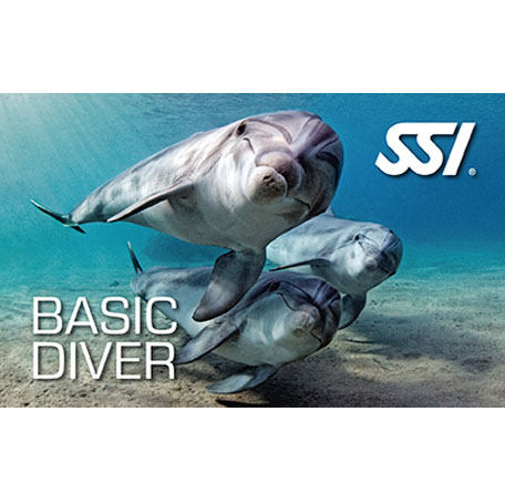 Basic Diver