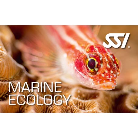 MArine Ecology SSI